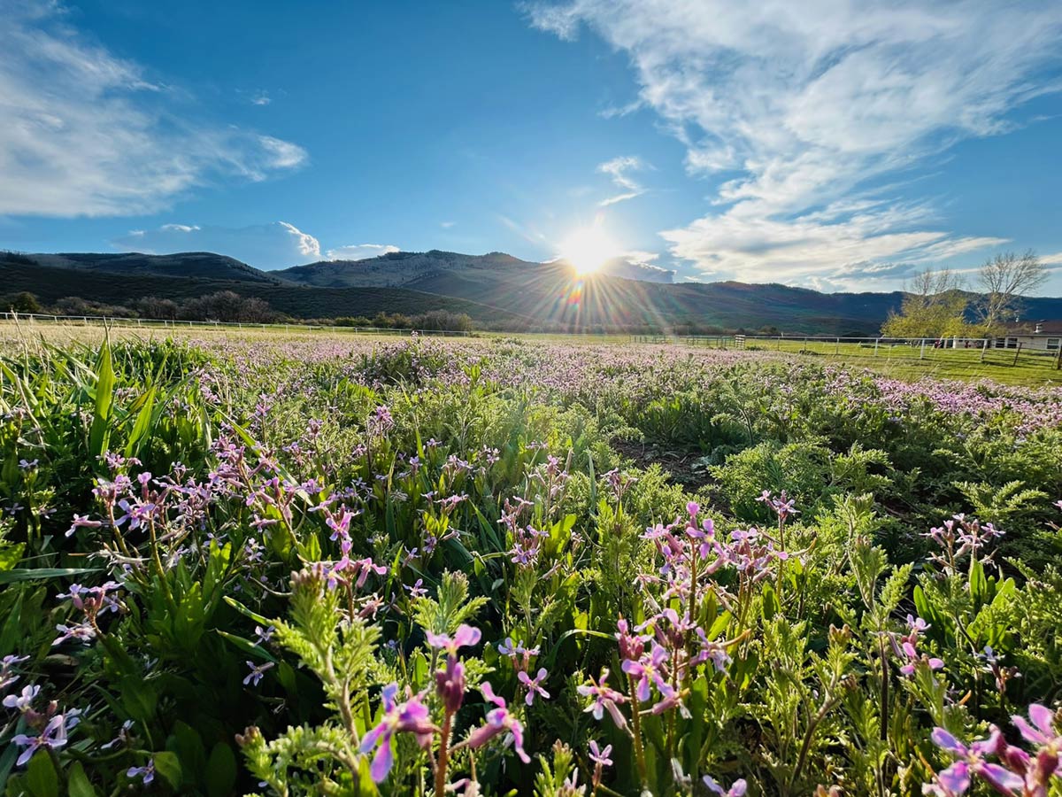 women's wellness retreats