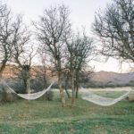 women's therapy colorado