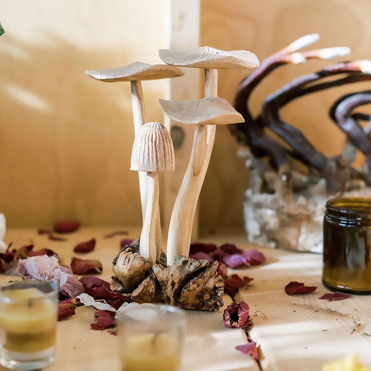 psychedelic-therapy-4winds